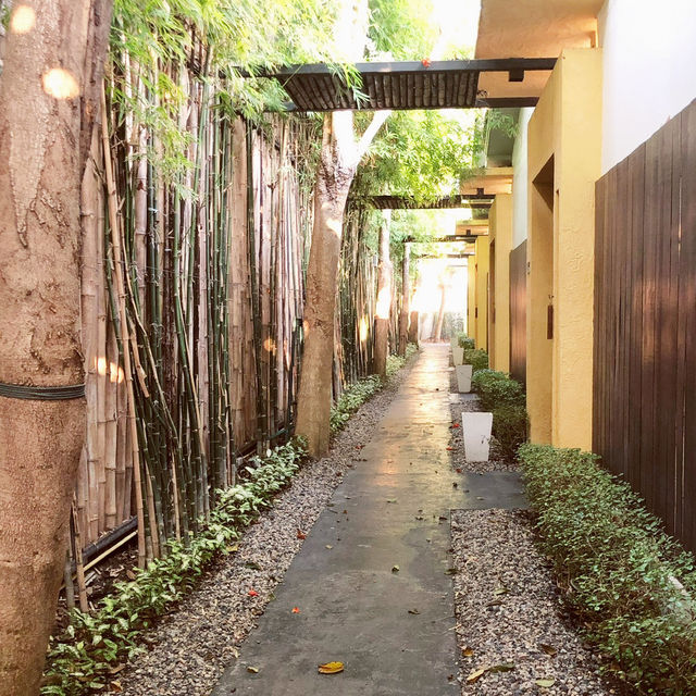 鬧市中帶點點清幽的villa 🏠⛱️