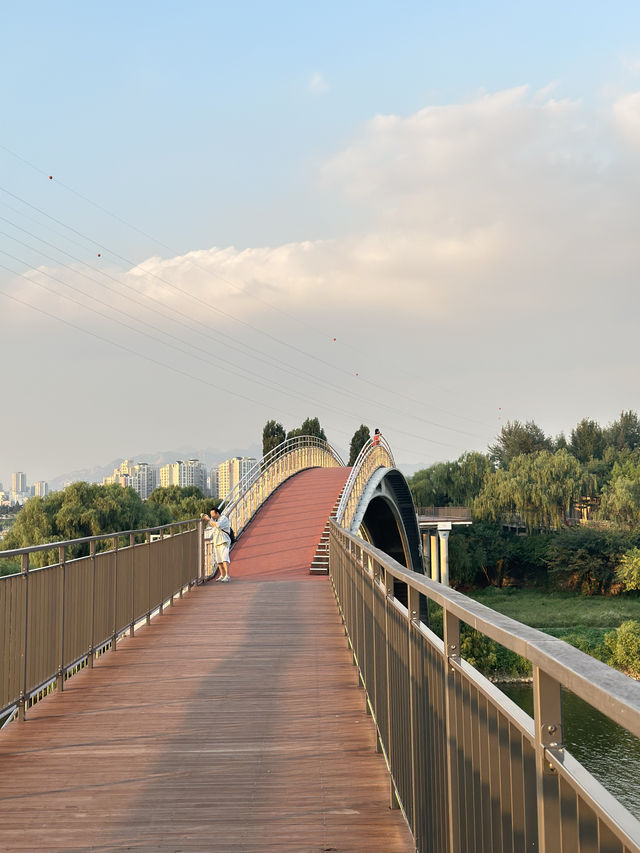 🇰🇷 首爾No.1 漢江公園 這景色真的是排第1名🌳
