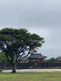 Rainy day in Jeju