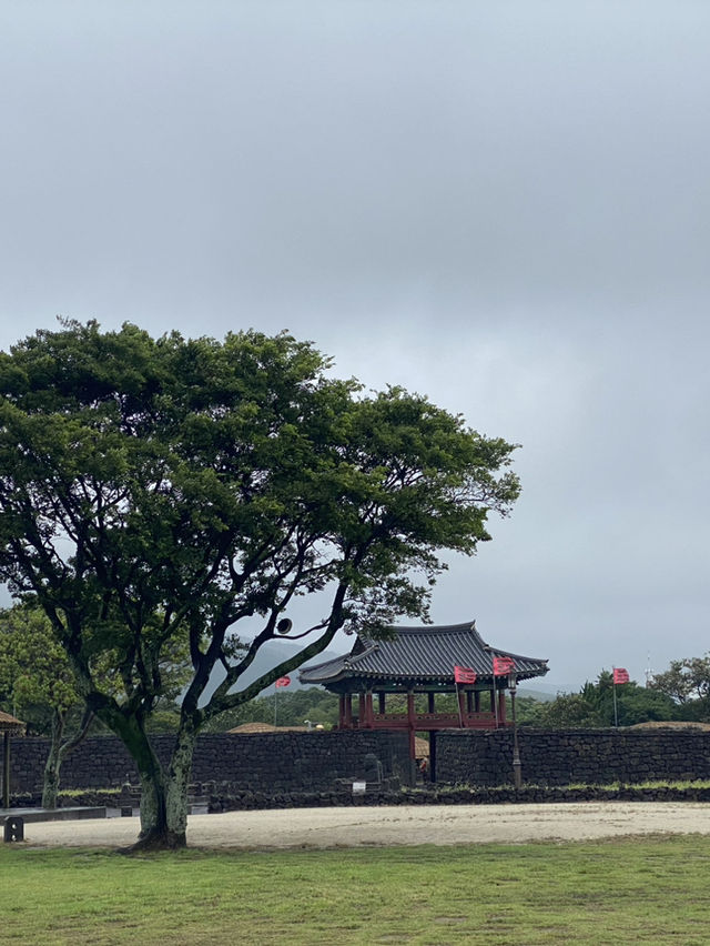 Rainy day in Jeju