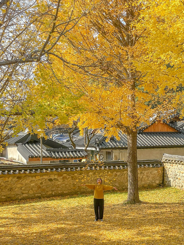 가을에 꼭 가야할 단풍 명소 ‘전주향교’