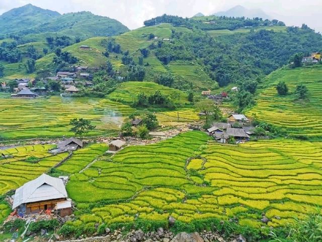 A Trekking Adventure to Ta Van Village, Sapa: Culture, Nature, and Homestays