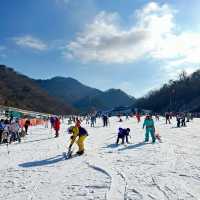 🏂❄️⛷️新雪谷滑雪場🎠冬季運動愛好者的天堂🏂❄️⛷️