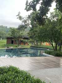  🌳The Peri Hotel Khao Yai