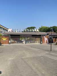 【大阪】おすすめシティウォーク天王寺
