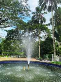 Enjoy the hot weather in the KL garden 🏡🏡