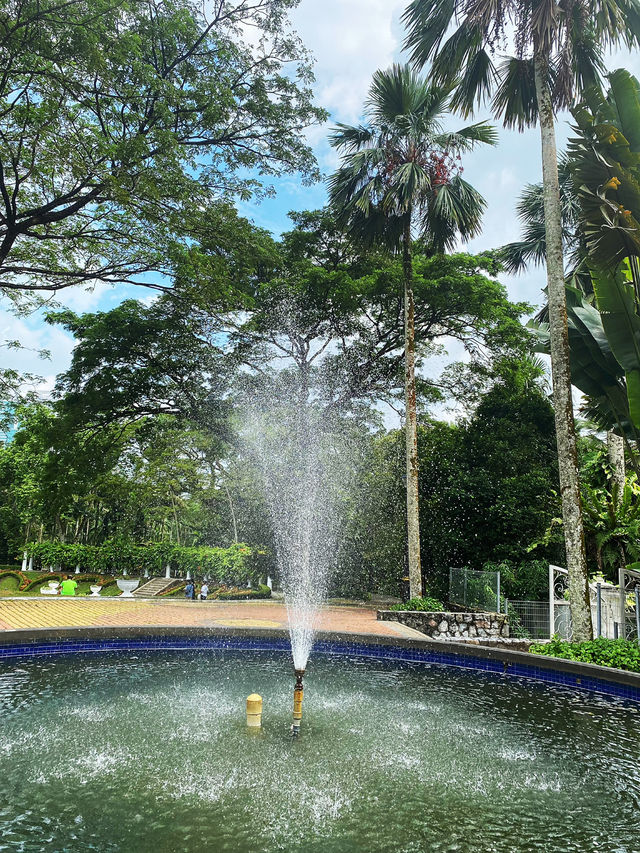 Enjoy the hot weather in the KL garden 🏡🏡