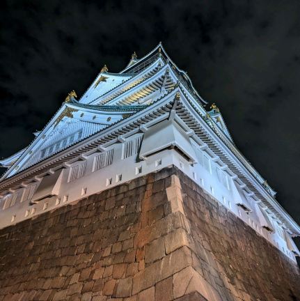 夜の大阪城公園。 | Trip.com 大阪