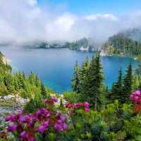 Rainier Mountain