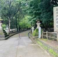 奈良公園の　鹿！！
