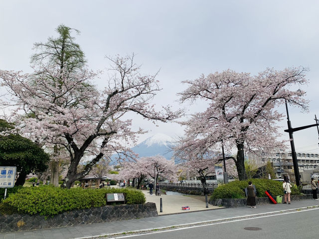 富士山本宮浅間大社