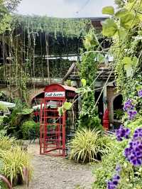  Cafe Laura Bar & Restaurant 🍰