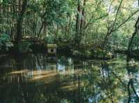 京都の穴場スポット 南禅寺天授庵