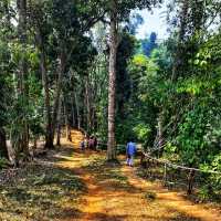 น้ำตกที่ยังคงความเป็นธรรมชาติ⛰🌄🌲☘