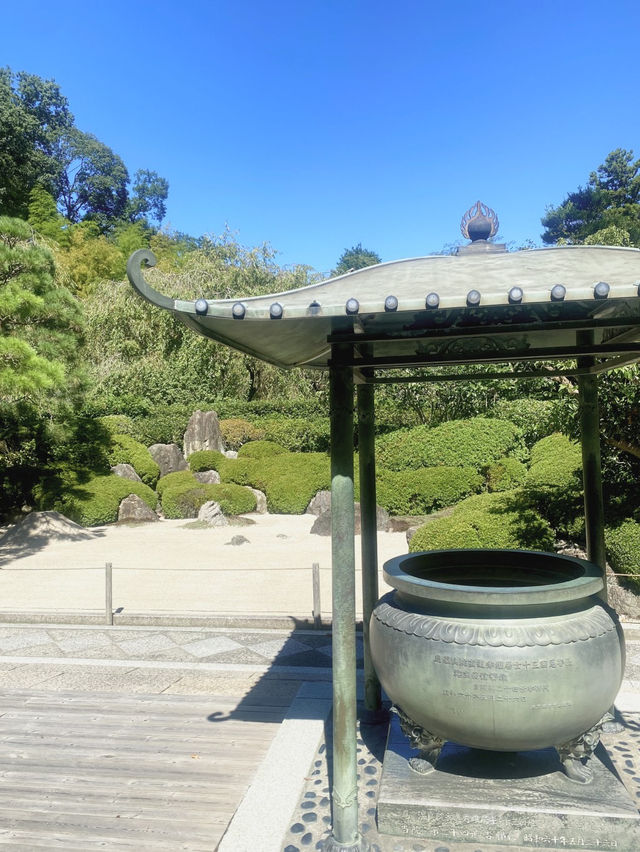 【鎌倉のパワースポット⛩️✨鶴岡八幡宮】