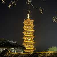 Wuzhen - Venice of the East