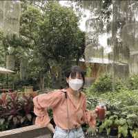 ภูมิใจการ์เด้น สวนลิ้นจี่ 100 ปี