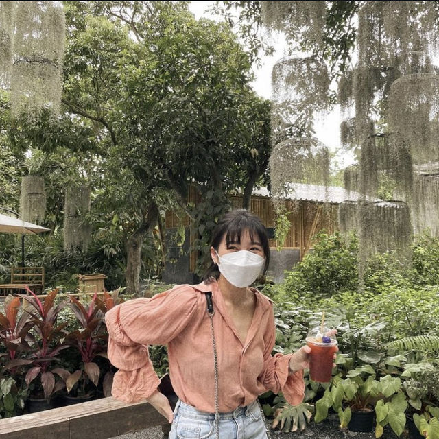 ภูมิใจการ์เด้น สวนลิ้นจี่ 100 ปี