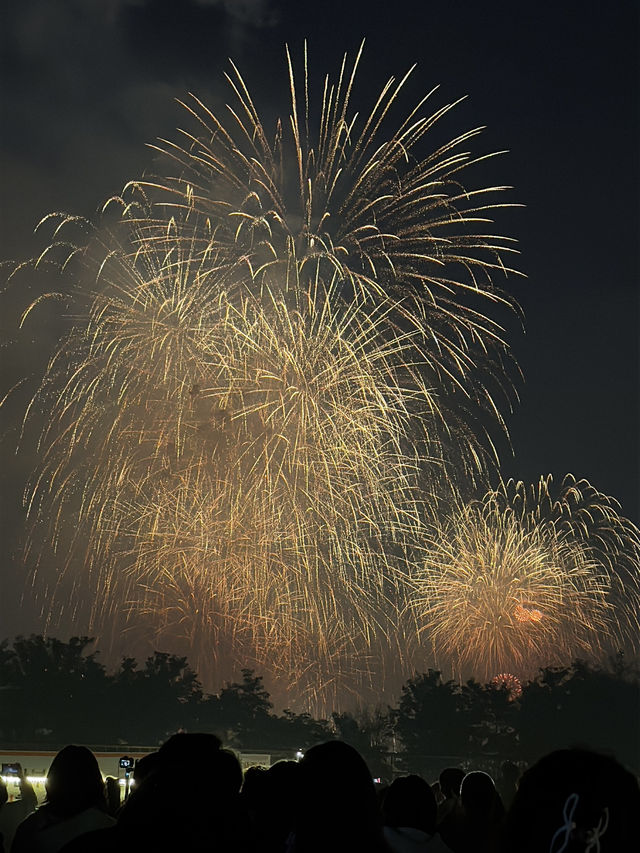 2024 10.05 서울세계불꽃축제 노들섬