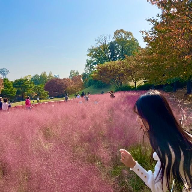 모든 꽃을 한번에 볼 수 있는 여기는⁉️