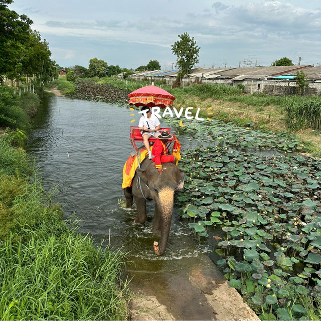 曼谷大城一日遊之水上市場與騎象體驗
