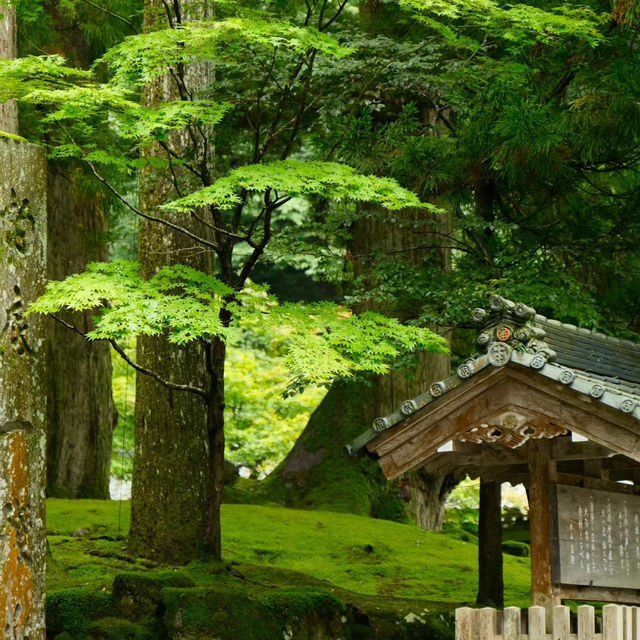 法雲禪寺：日式靜謐 🍃🧘‍♂️