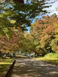 Stunning Autumn Colors at Nakajima Park 🍁