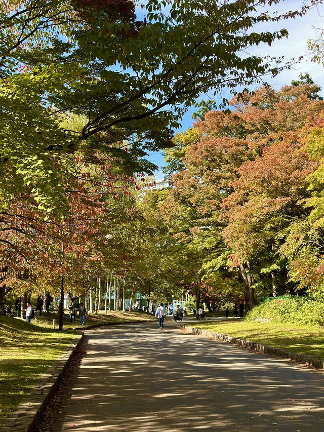 Stunning Autumn Colors at Nakajima Park 🍁