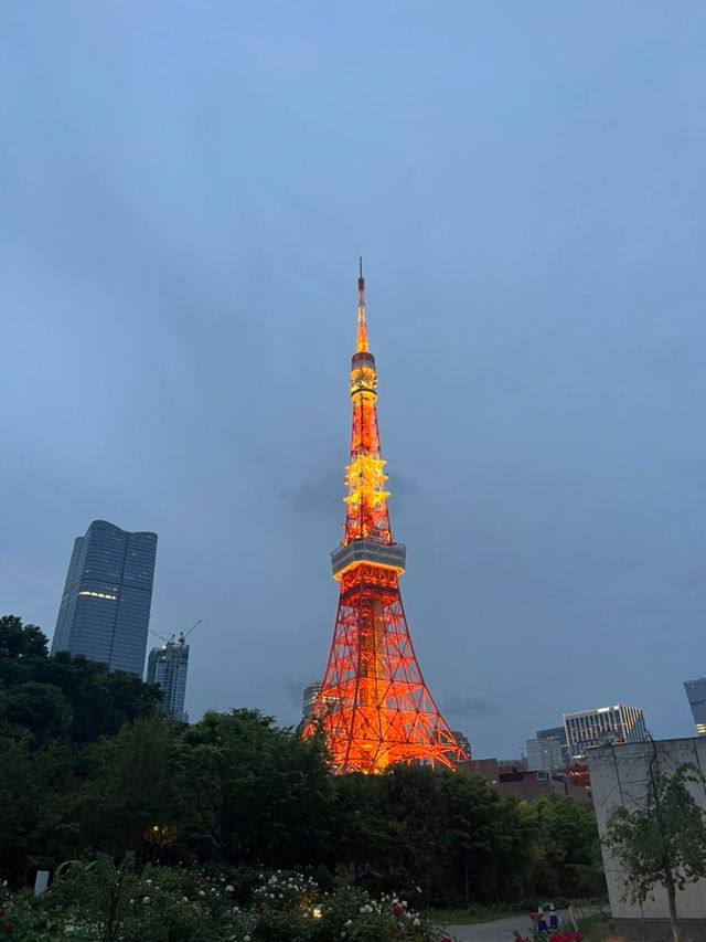 나만 알고싶은 🇯🇵도쿄하루여행코스🖍️예쁜 곳들만 딱 집어 알려드립니다🤲🏻🇯🇵