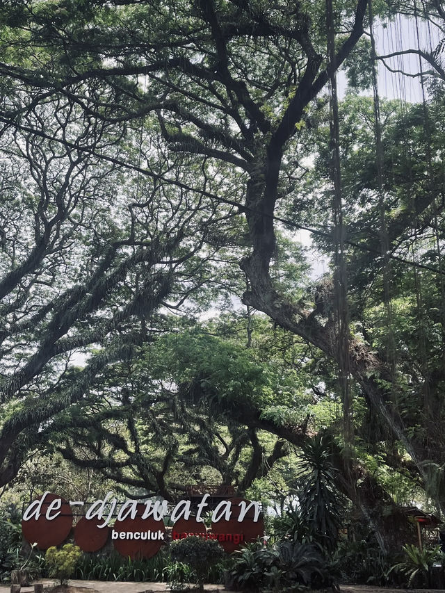 De Djawatan Forest