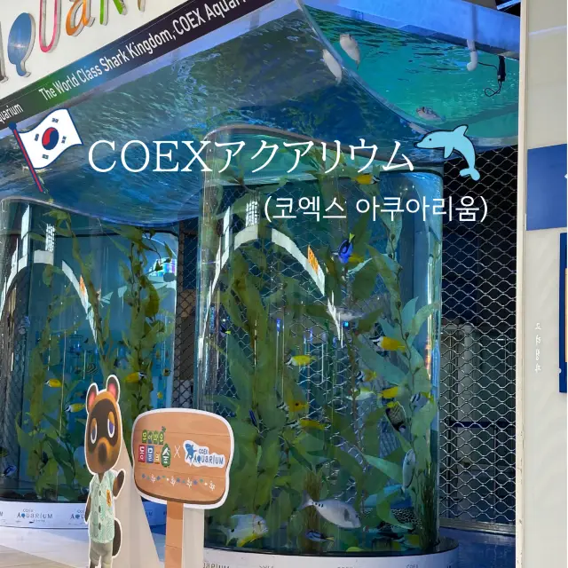 COEX水族館🪼