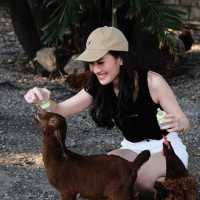 พักผ่อนหรูหราที่โรงแรม Dusit หัวหิน