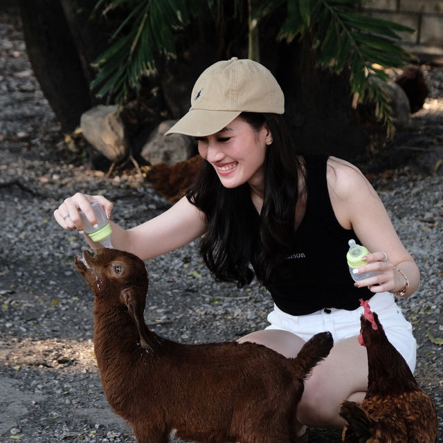 พักผ่อนหรูหราที่โรงแรม Dusit หัวหิน