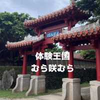 【沖縄】いろんなことがひとつの場所で体験できる⛱️🏝️