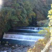 箱根私人風呂溫泉旅館推介♨