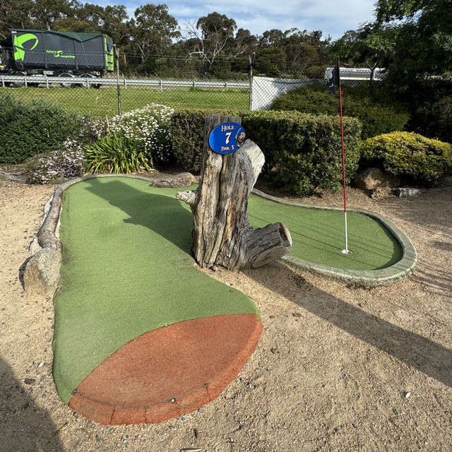 Mini Golf at Maru Koala and Animal Park：家庭樂趣的最佳選擇 ⛳🐨