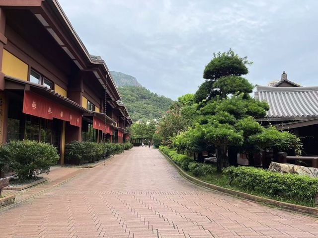 隱藏於香港鬧市的禪意之境：志蓮淨苑，一探港版小京都的絕美秘境
