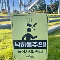 DISCOVERING GONGJIN