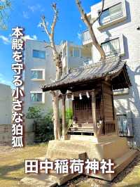 【東京都】本殿を守る小さな狛狐