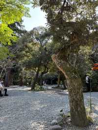 พระใหญ่ kamakura