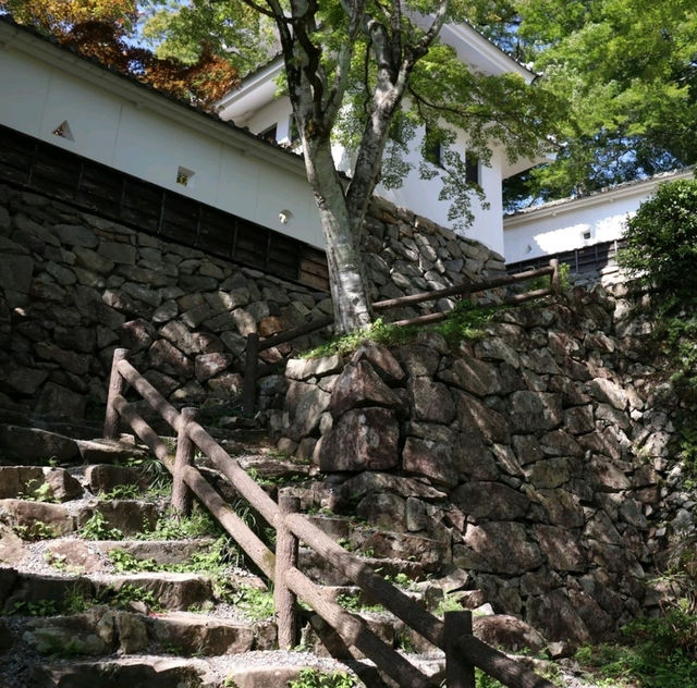 岐阜景點｜乘風而起、山嵐繚繞~日本最美山城—郡上八幡城