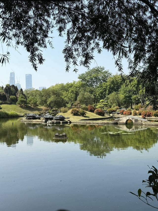 Splendid day @ Splendid China Miniature Park and Folk Village