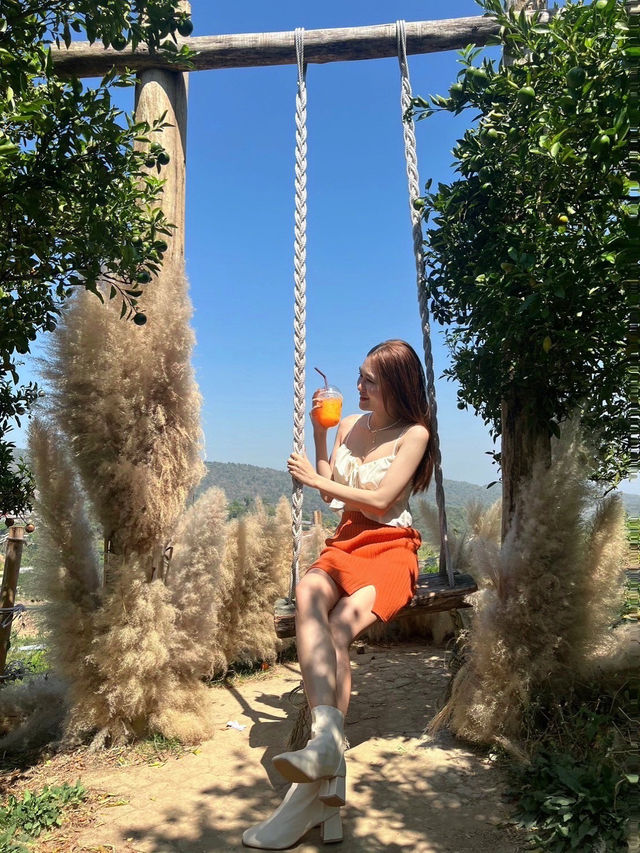 สวนส้มจินจู🍊