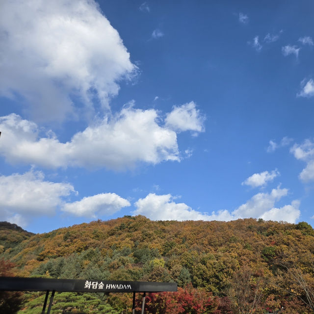 🍁🍂가을을 온전하게 느낄 수 있는 화담숲🍁🍂