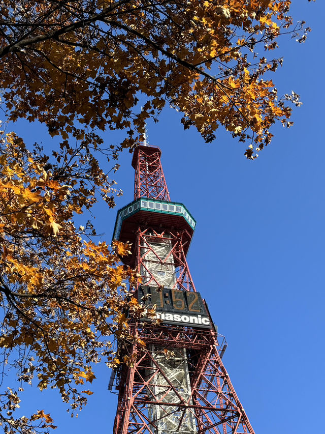 【札幌観光】札幌の街に立ち続けてもうすぐ70年のテレビ塔