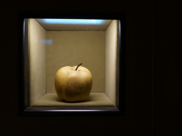 【イタリア・ミラノ】映画監督ウェス・アンダーソン監修の特別展　プラダ財団美術館