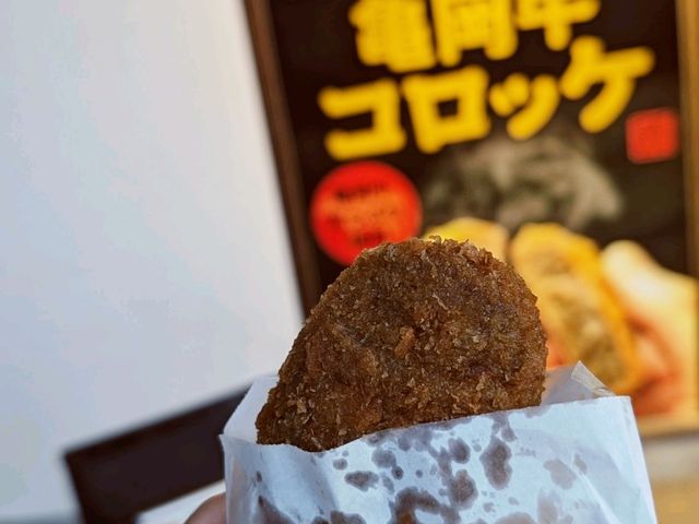 【嵯峨野トロッコ列車でのんびり旅♪保津峡から亀岡へ】