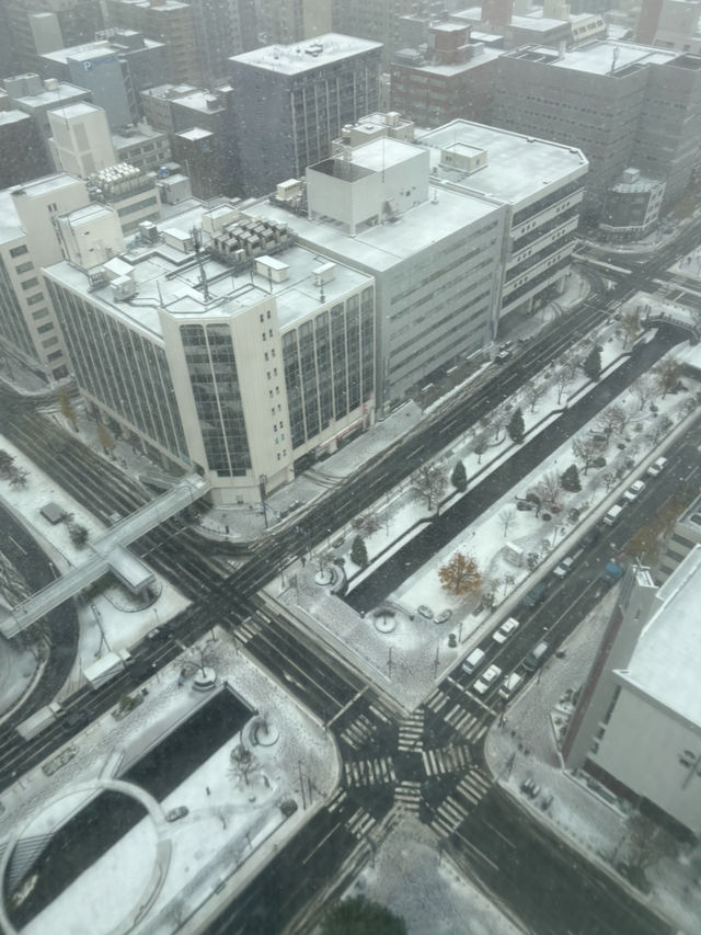 北海道　札幌市の雪景色❄️🗼