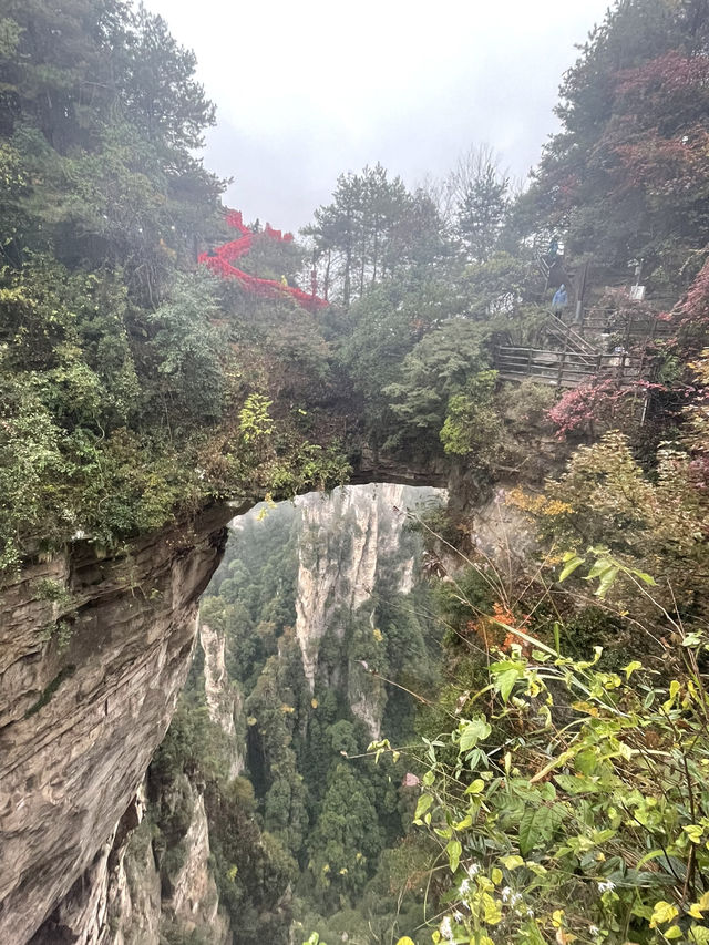 Discovering Zhangjiajie National Forest Park ! 🤗