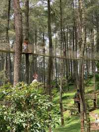 Orchid castle bandung